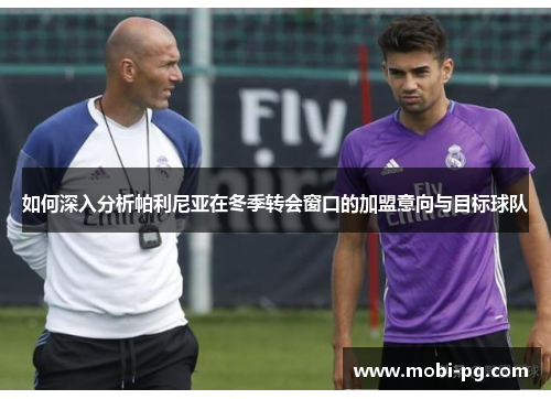 如何深入分析帕利尼亚在冬季转会窗口的加盟意向与目标球队