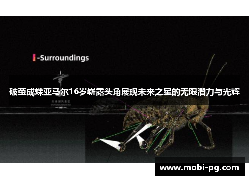 破茧成蝶亚马尔16岁崭露头角展现未来之星的无限潜力与光辉 破茧成蝶亚马尔16岁崭露头角展现未来之星的无限潜力与光辉