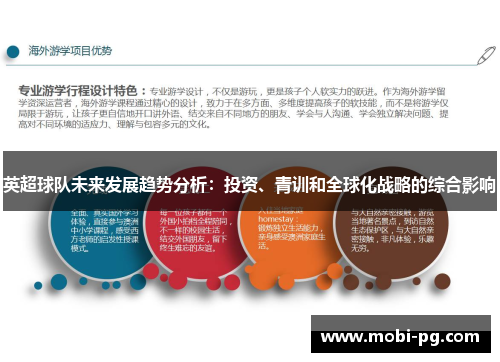 英超球队未来发展趋势分析:投资、青训和全球化战略的综合影响 英超球队未来发展趋势分析:投资、青训和全球化战略的综合影响