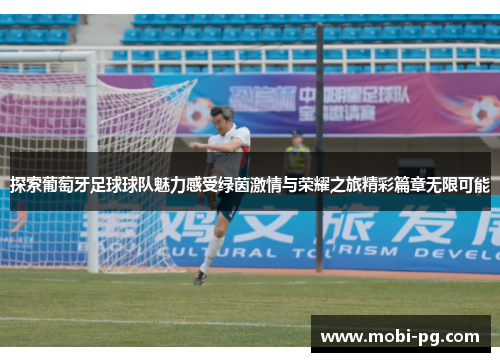 探索葡萄牙足球球队魅力感受绿茵激情与荣耀之旅精彩篇章无限可能